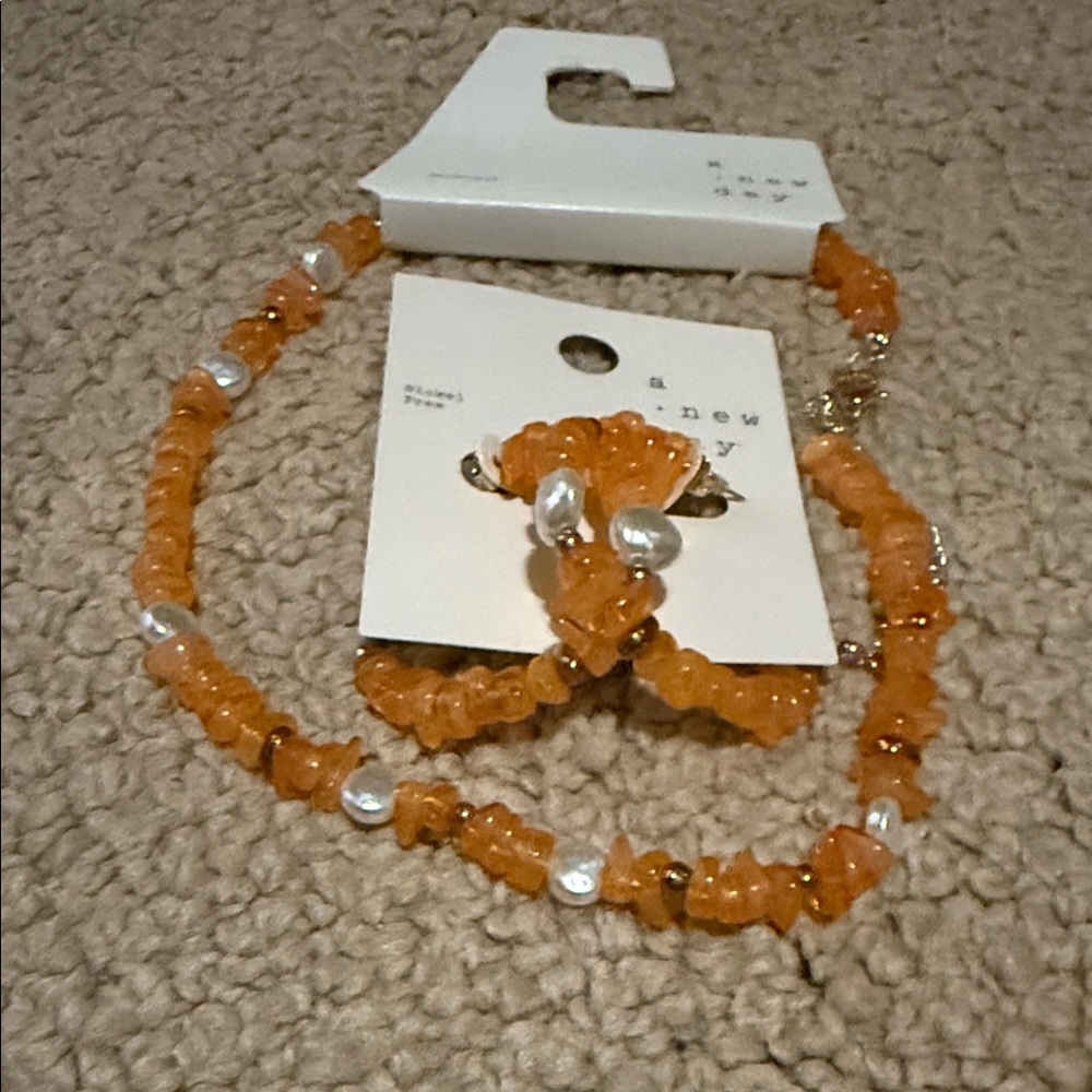 Orange Beaded Necklace and Earring Set